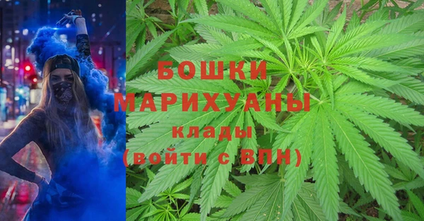 соль ск Осташков