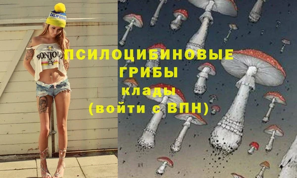 2c-b Осинники