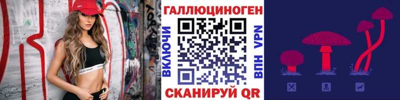 площадка клад  где можно купить   Приморско-Ахтарск  Галлюциногенные грибы Psilocybe 
