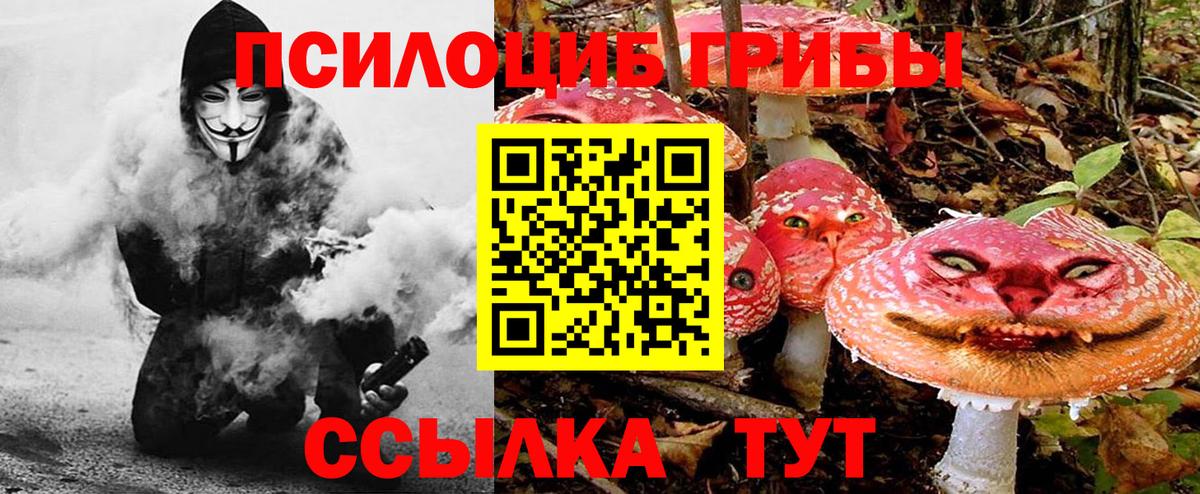 Псилоцибиновые грибы ЛСД  Вход с VPN  Приморско-Ахтарск 
