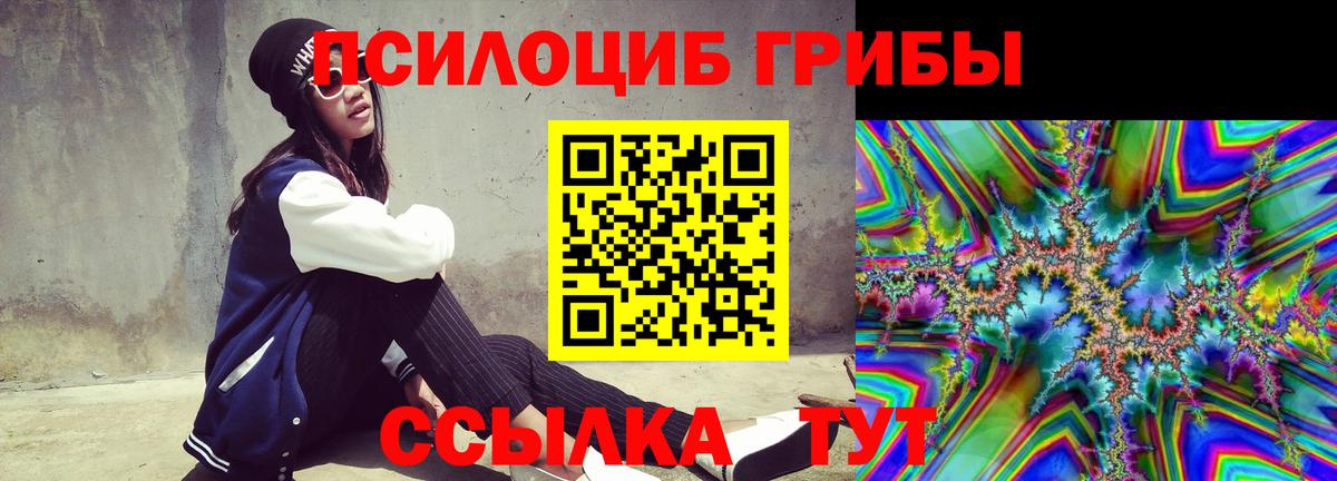 наркошоп  Приморско-Ахтарск  Галлюциногенные грибы Psilocybine cubensis  Галлюциногенные грибы Cubensis 